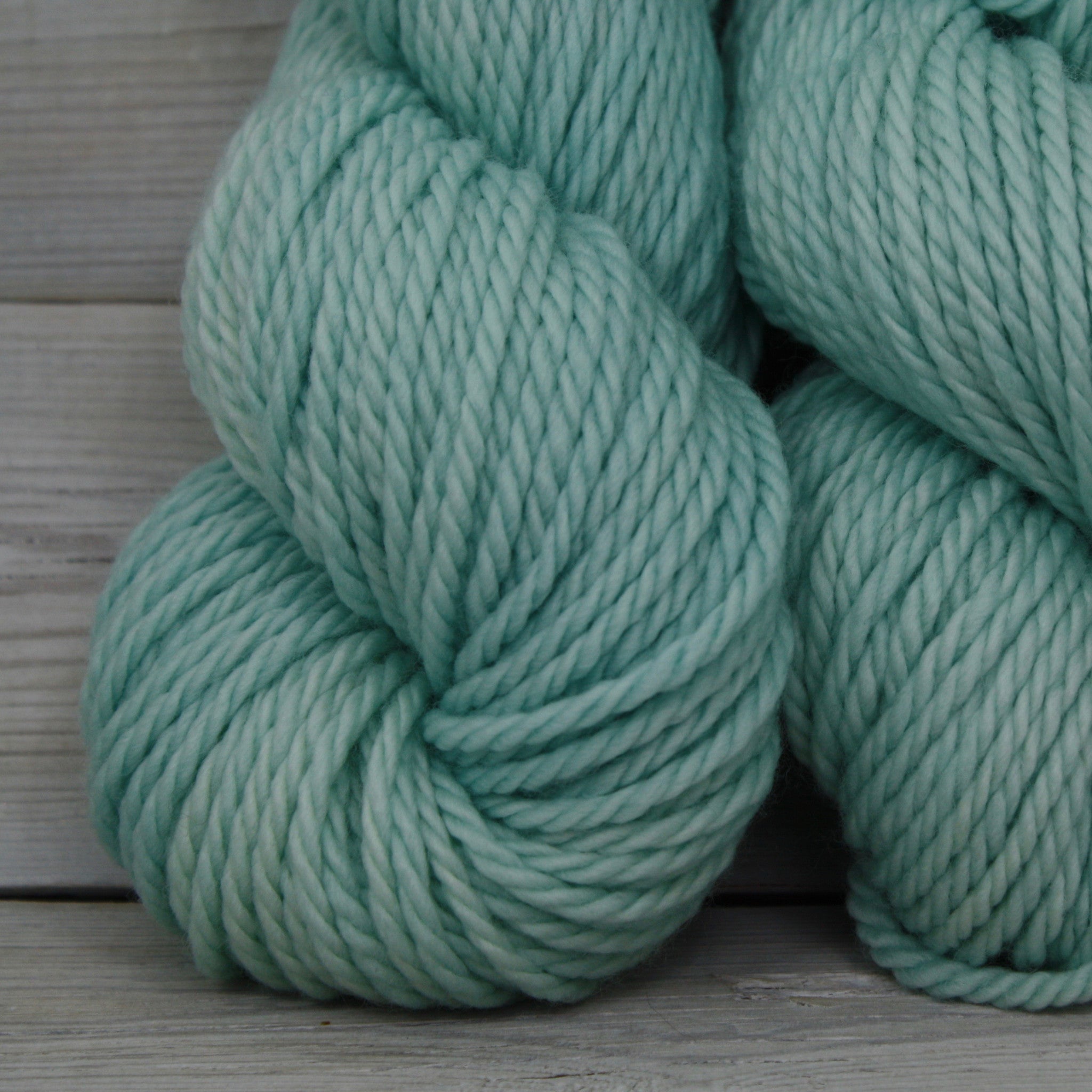 Apollo Yarn | Colorway: Araucana