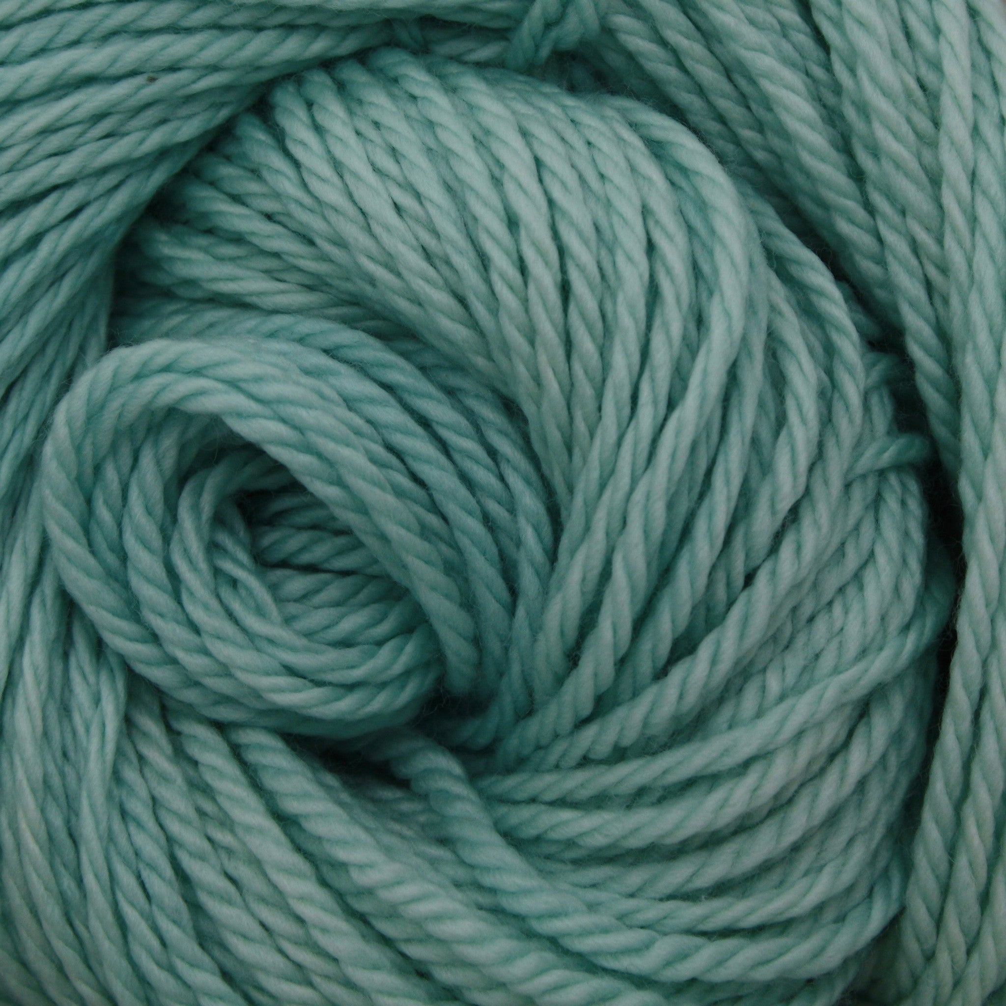 Apollo Yarn | Colorway: Araucana