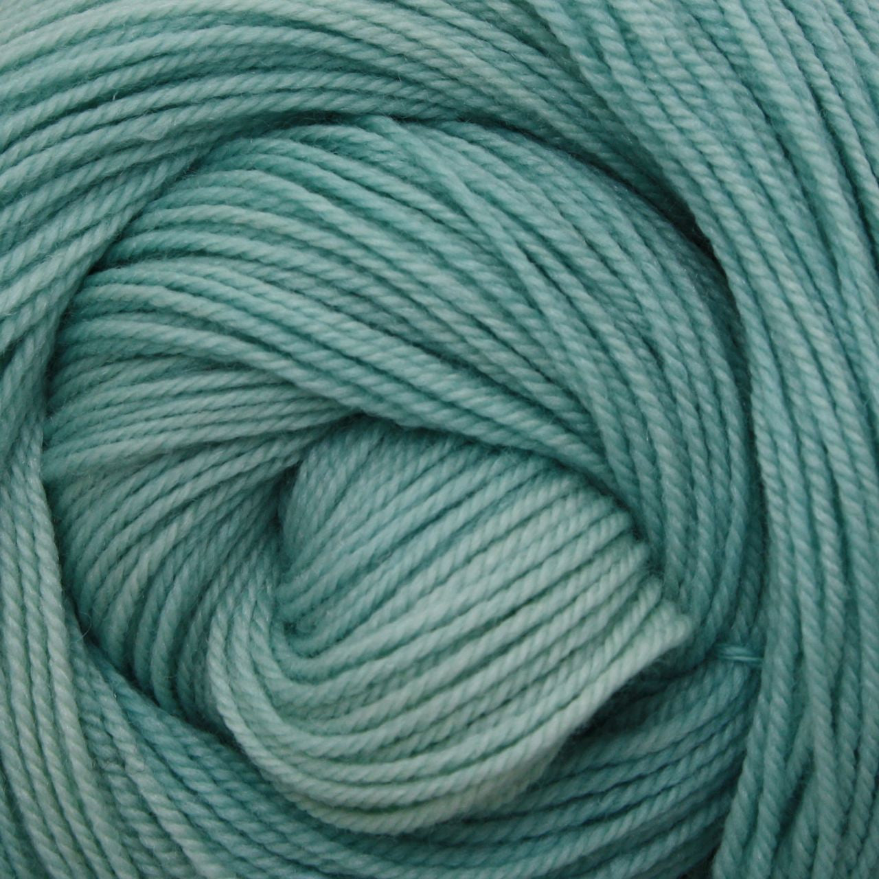 Colorway: Araucana | Dyed to Order Yarn