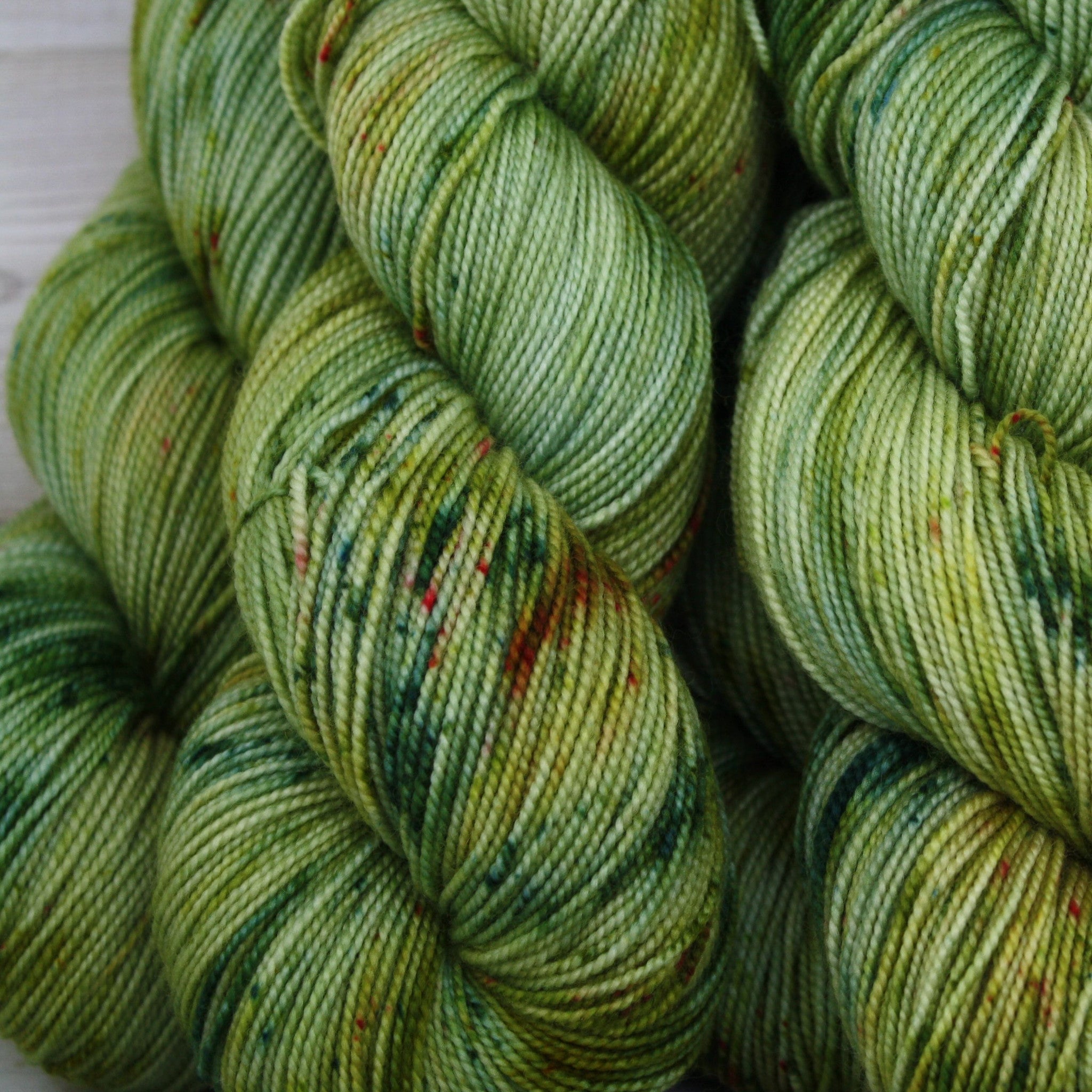 Colorway: Lichen | Dyed to Order Yarn